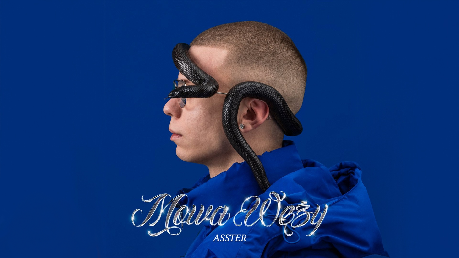 Asster - MOWA WĘŻY